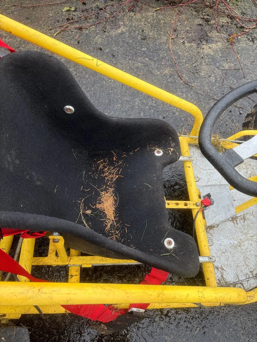 270cc off road go cart - Image 2