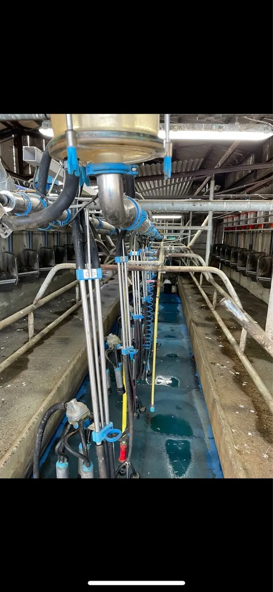 Milking Parlour - Image 3