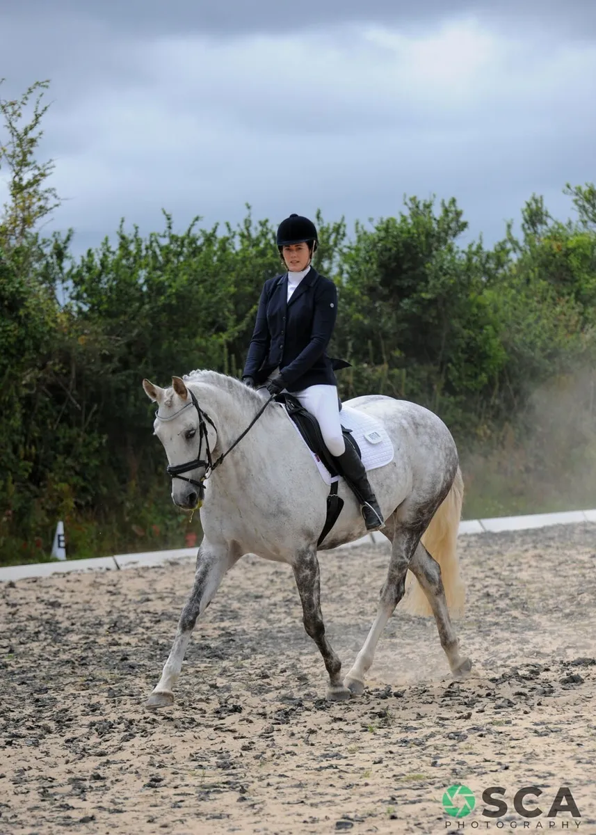 16.1 Sweet & Competitive All Rounder ISH - Image 2