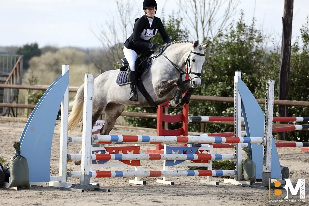 16.1 Sweet & Competitive All Rounder ISH - Image 4