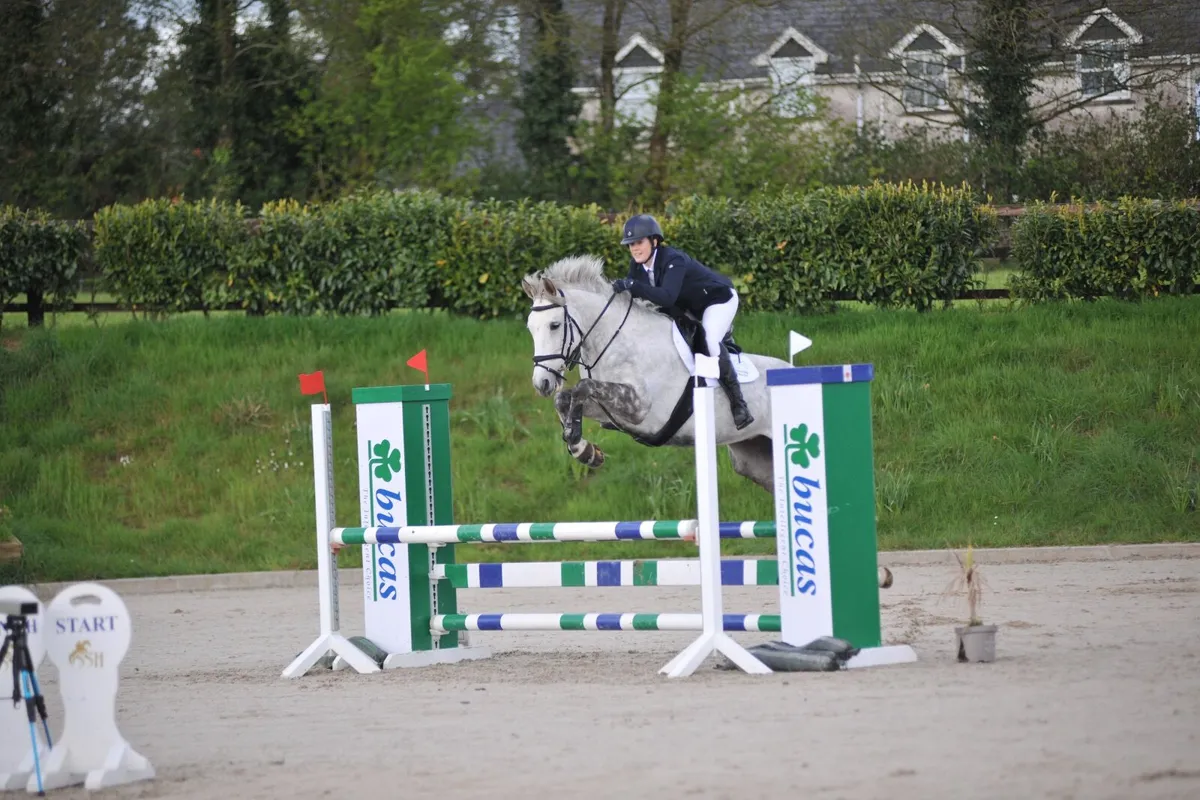 16.1 Sweet & Competitive All Rounder ISH - Image 1