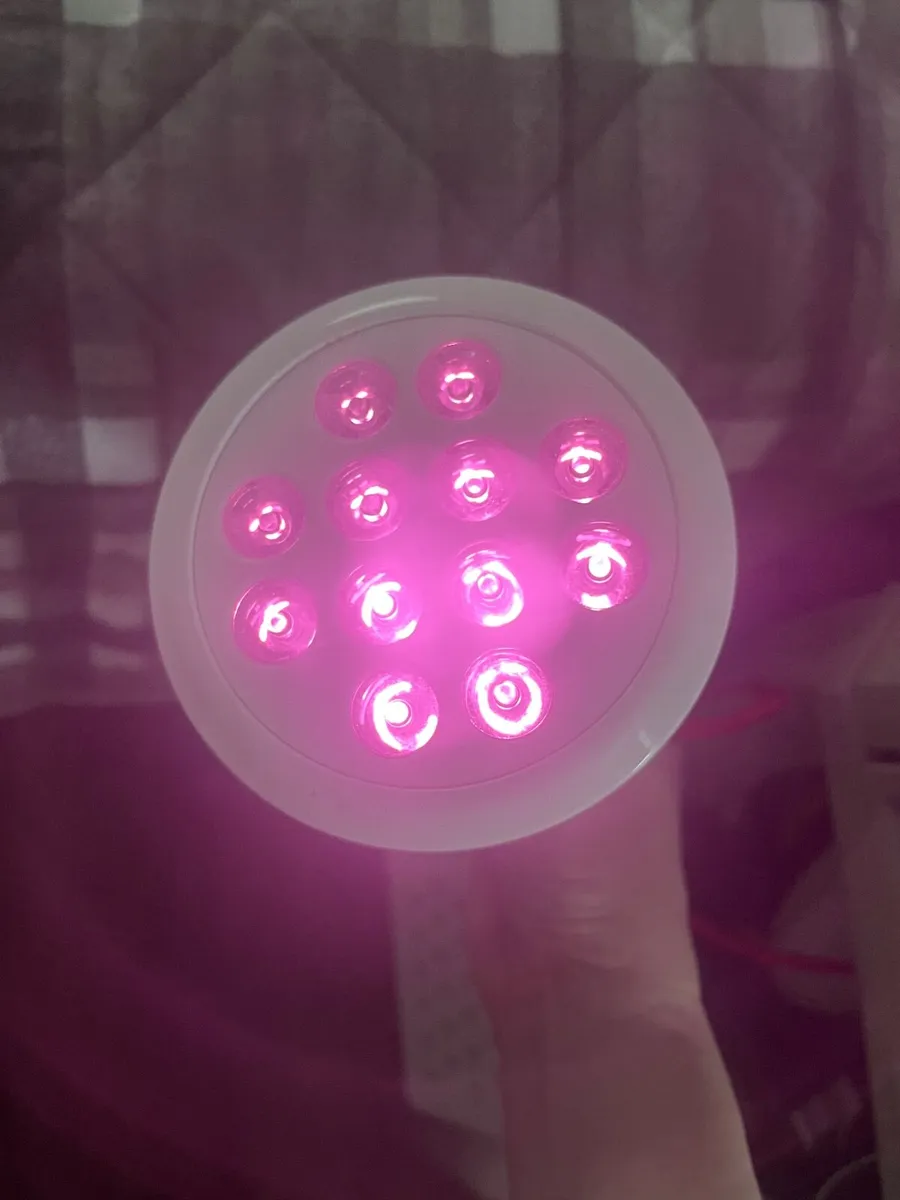 Red light lamp - Image 2