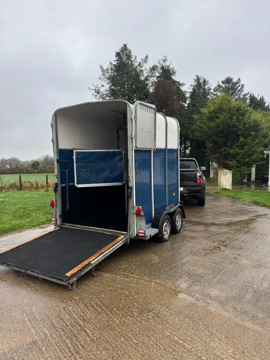 Ifor Williams 510 Horsebox - Image 2