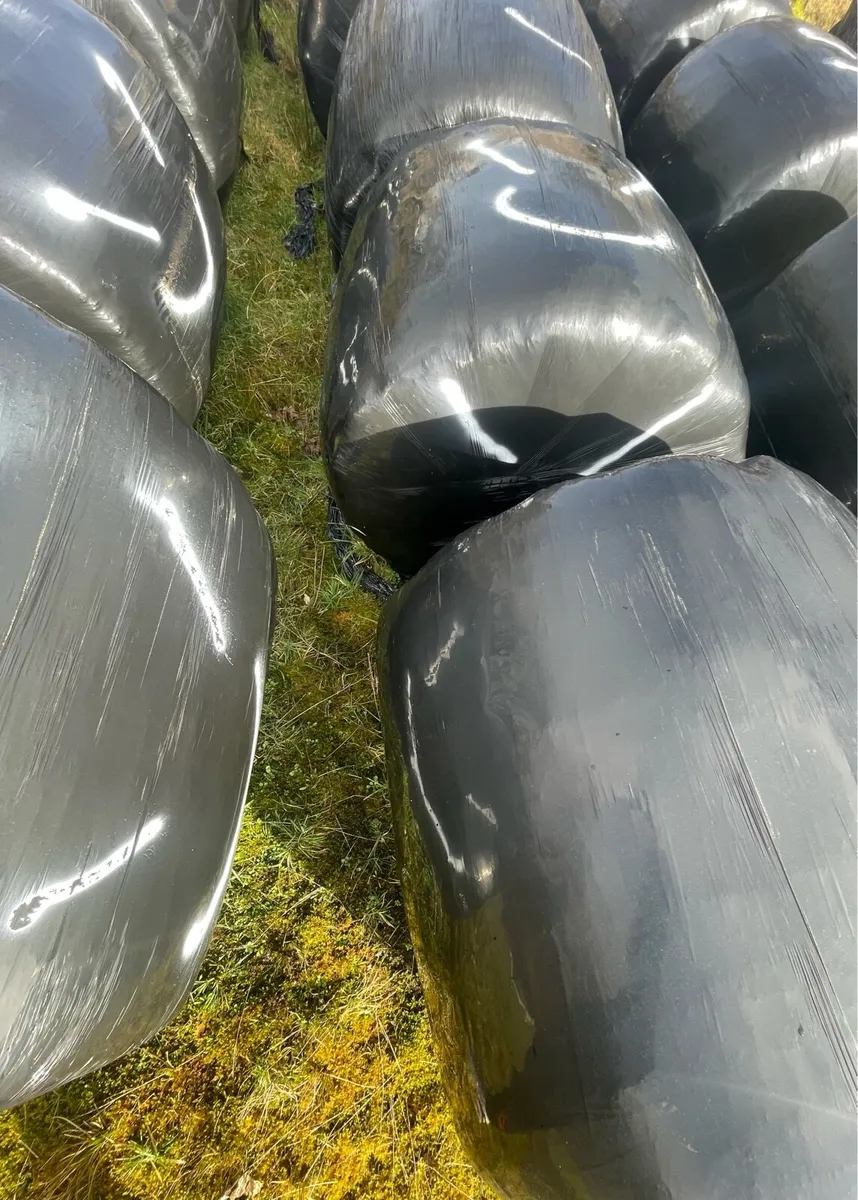 Silage bales