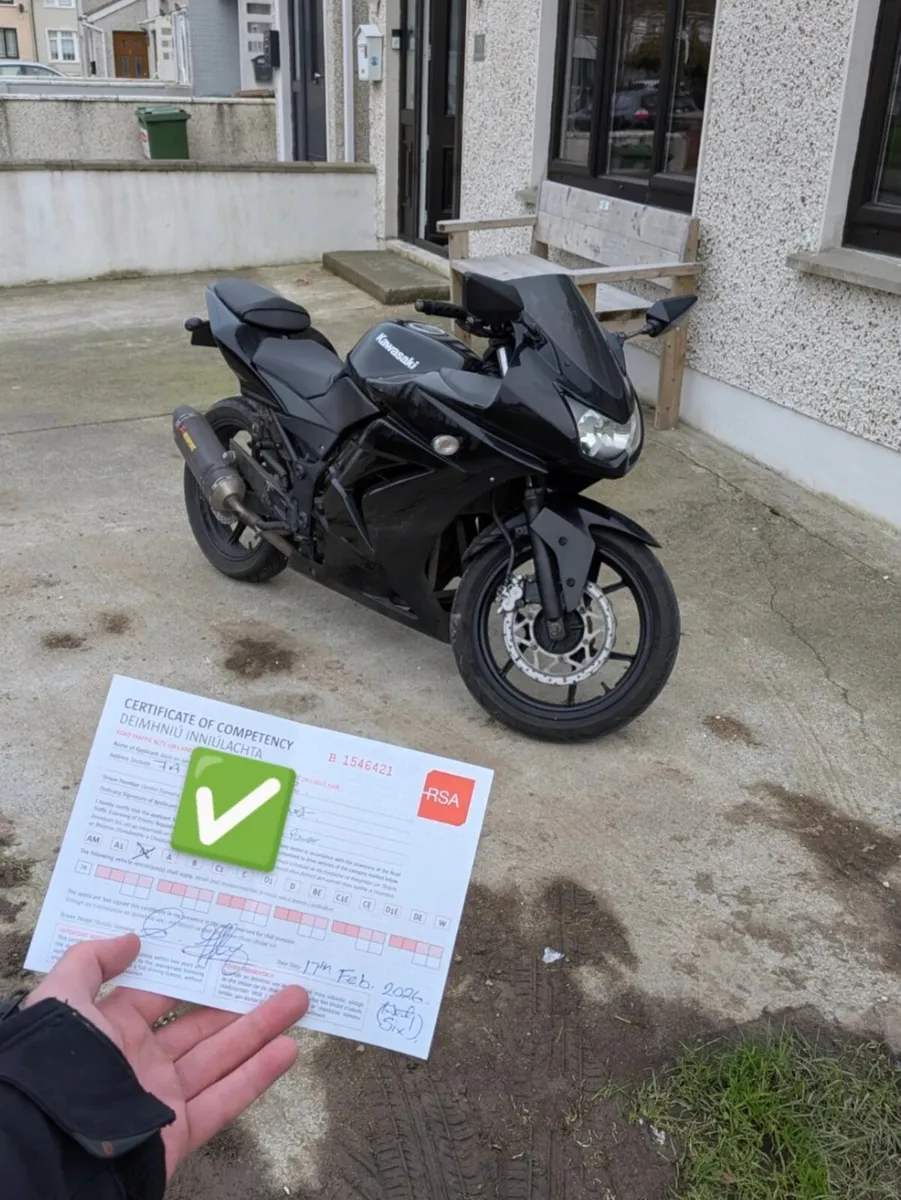 2008 Kawasaki Ninja 250R - Image 1