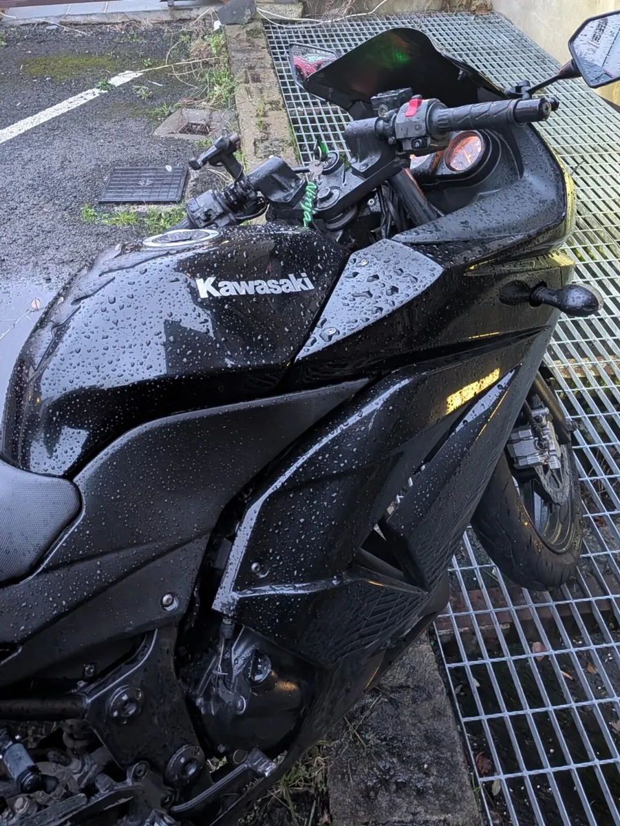 2008 Kawasaki Ninja 250R - Image 3