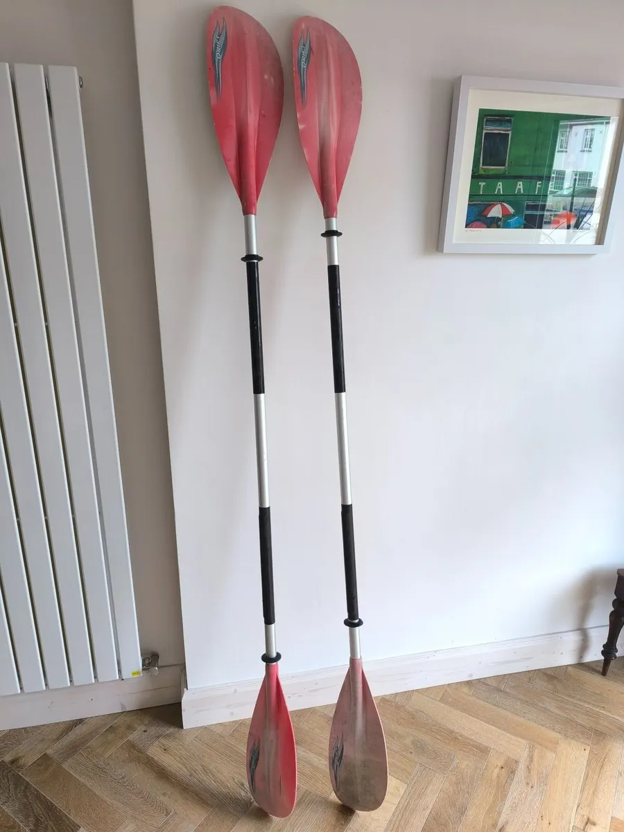 2 Kayaks & equipment - Image 4