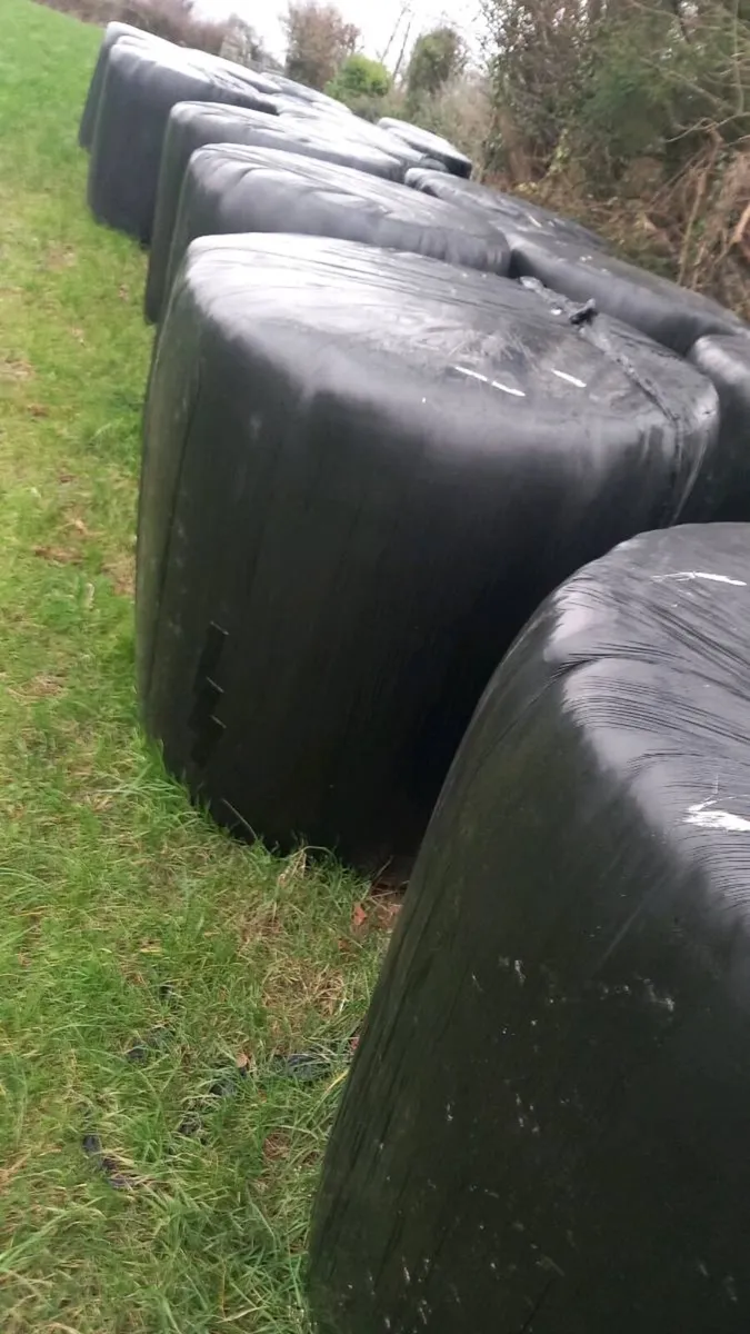 Silage/Haylage - Image 1
