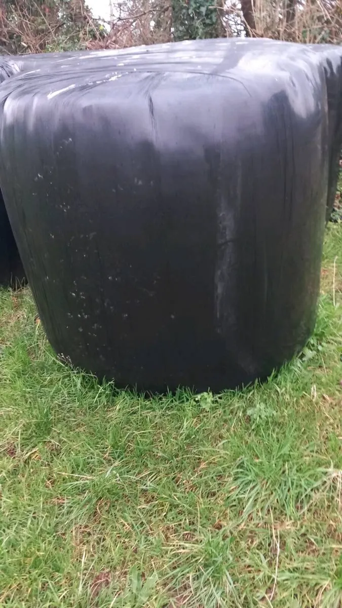 Silage/Haylage - Image 2