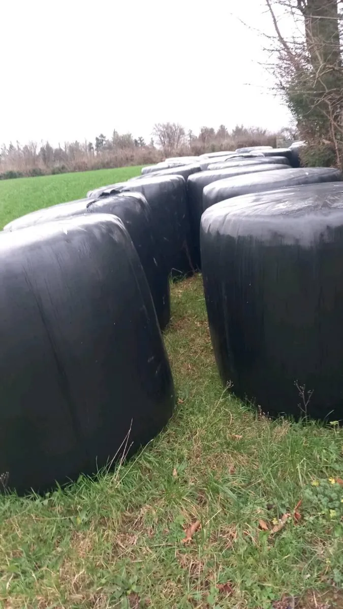 Silage/Haylage - Image 3