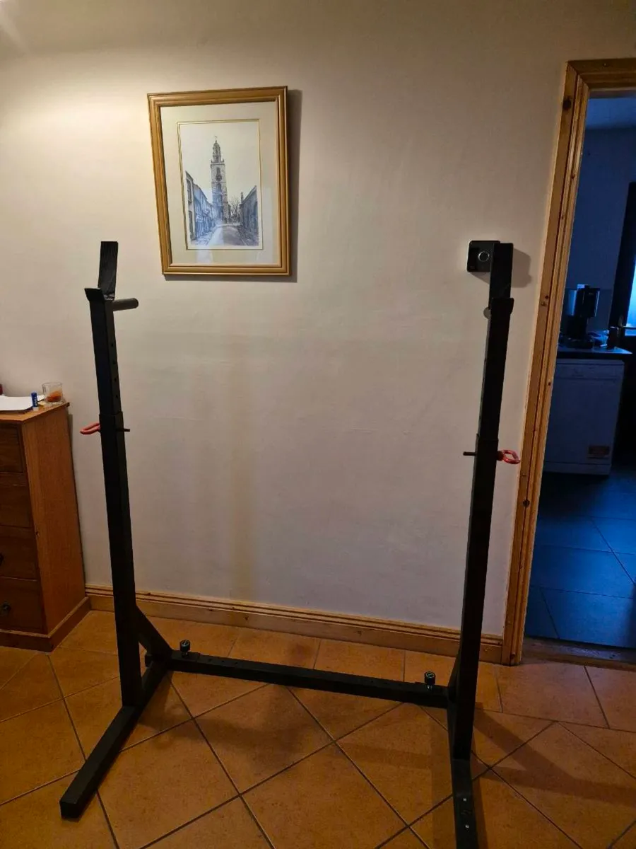 Strengthshop Squat Stand/Back with Dip Bar - Image 1