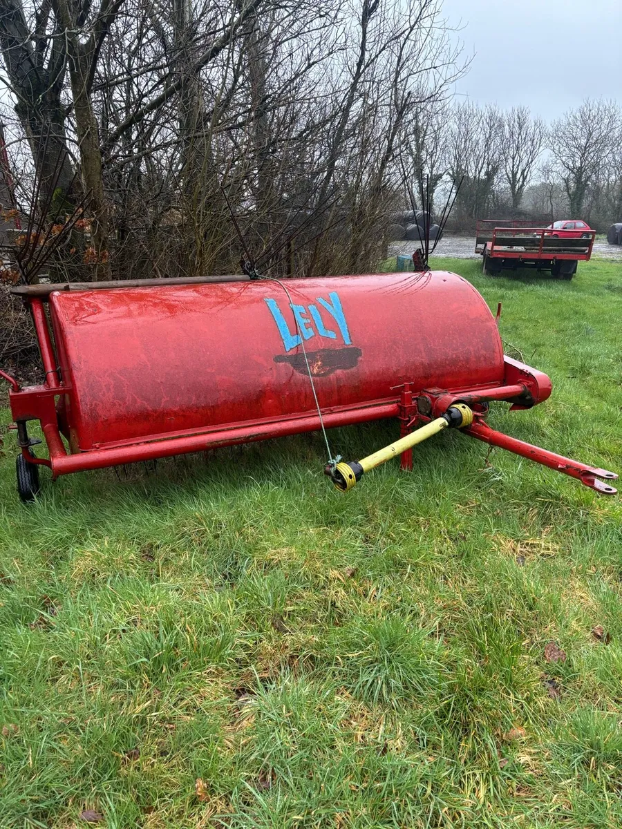 Lely cock pheasant - Image 1