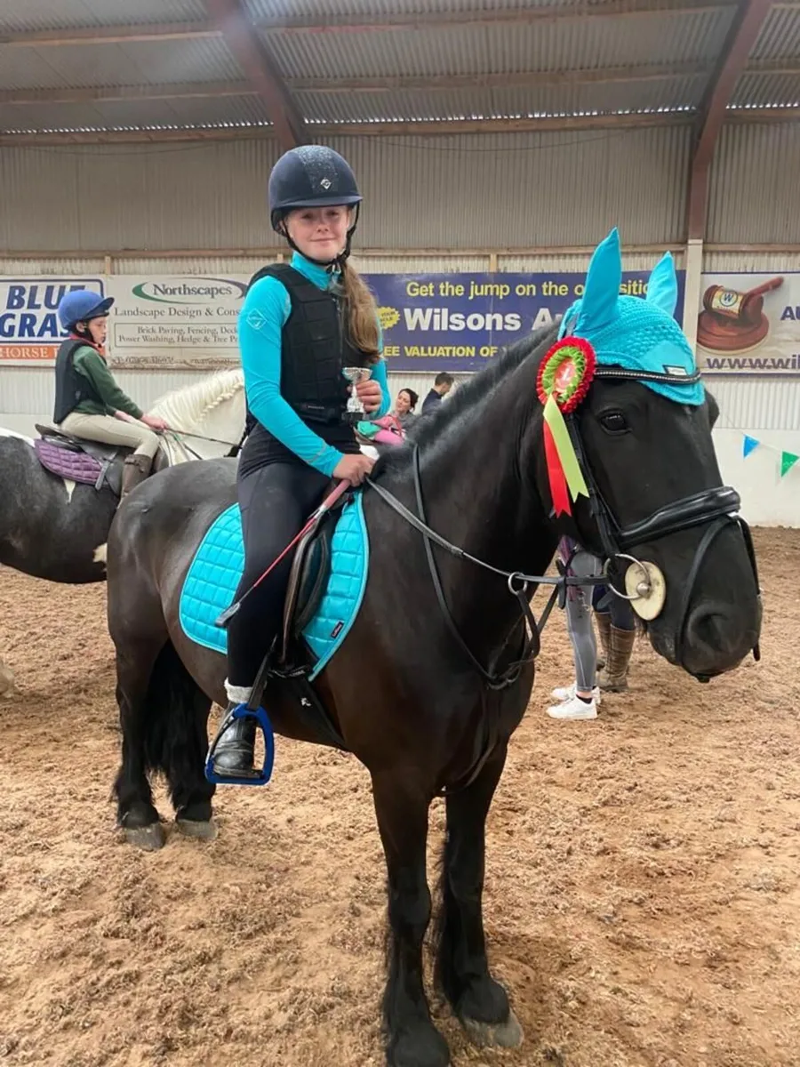 14hh All Rounder - Image 2