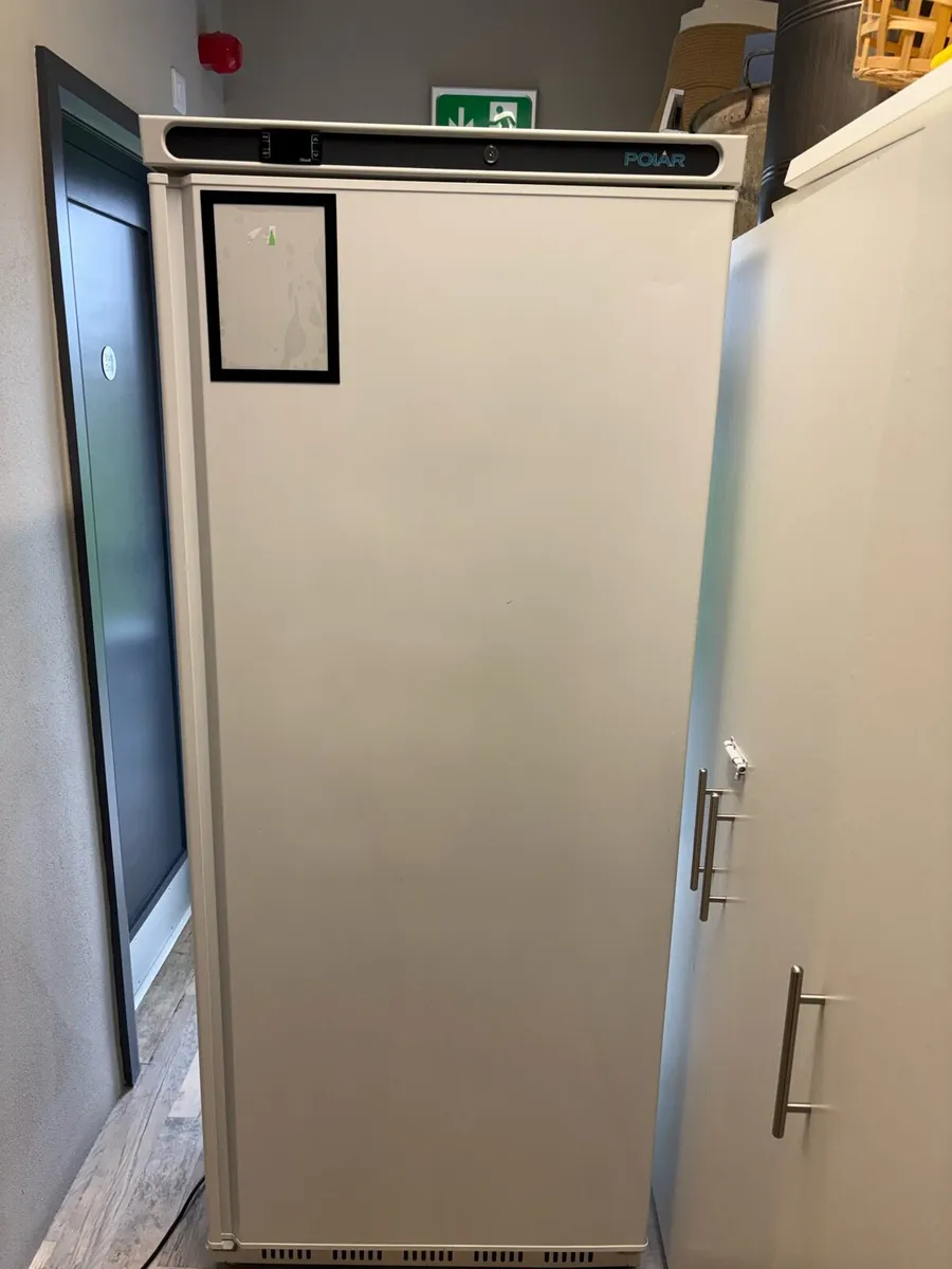 Polar Tall freezer  - - Image 3