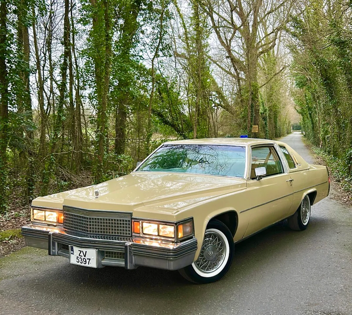 1979 Cadillac CoupeDeVille V8 - Image 1