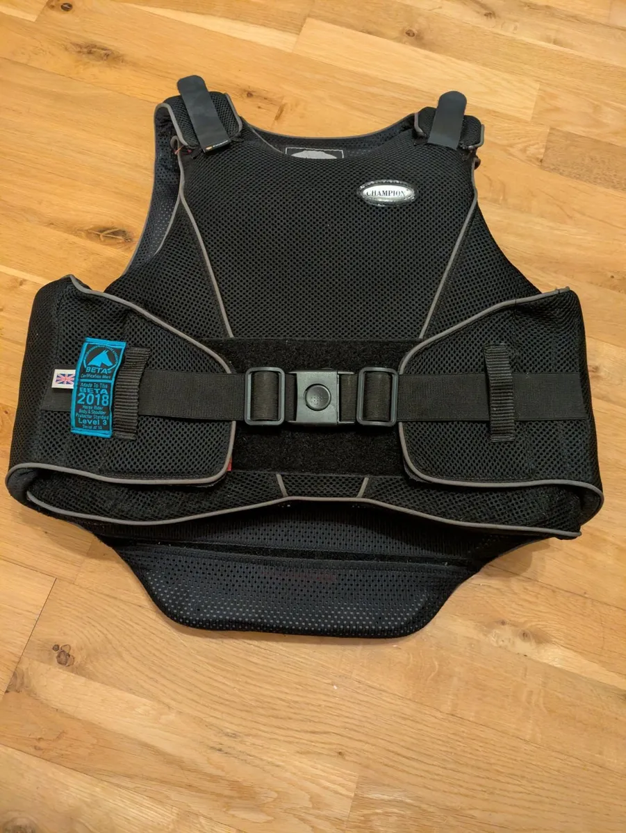 Back Protector - excellent condition. - Image 1