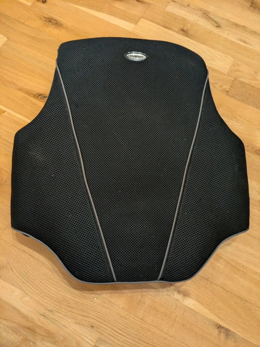 Back Protector - excellent condition. - Image 2