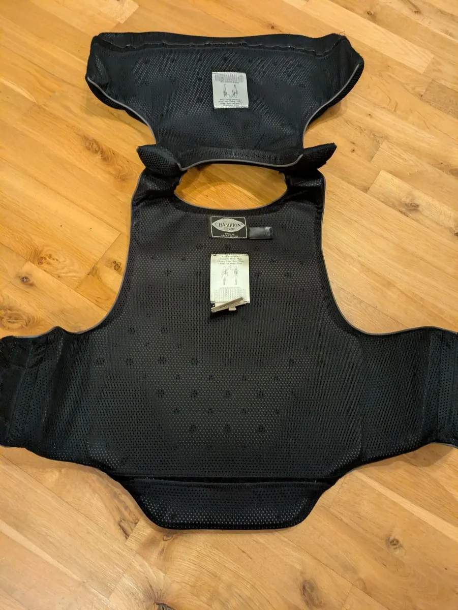Back Protector - excellent condition. - Image 3