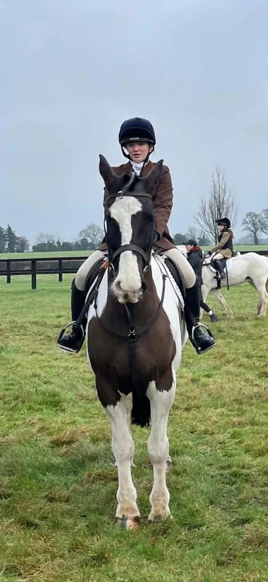 16.2 Hunter - Image 2