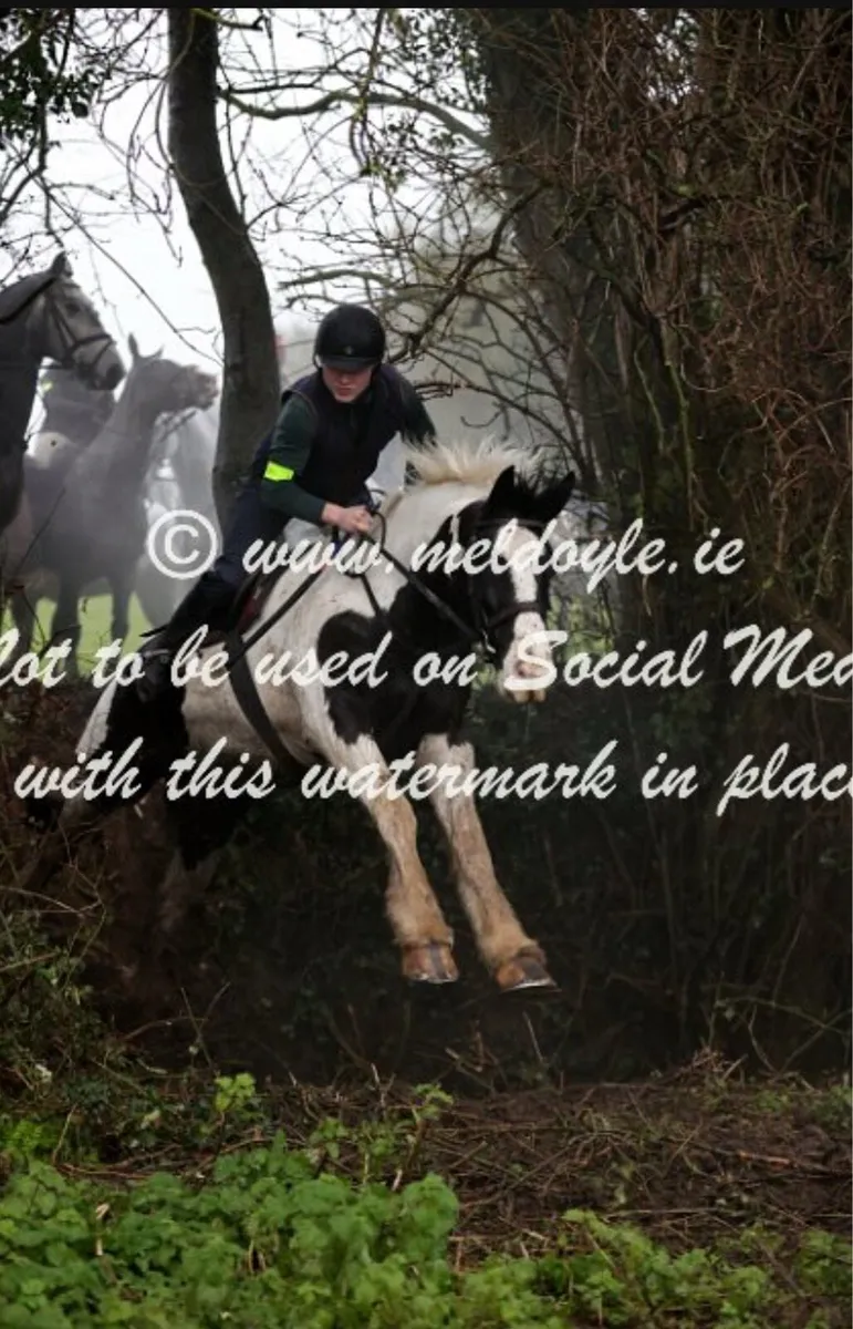 16.2 Hunter - Image 3