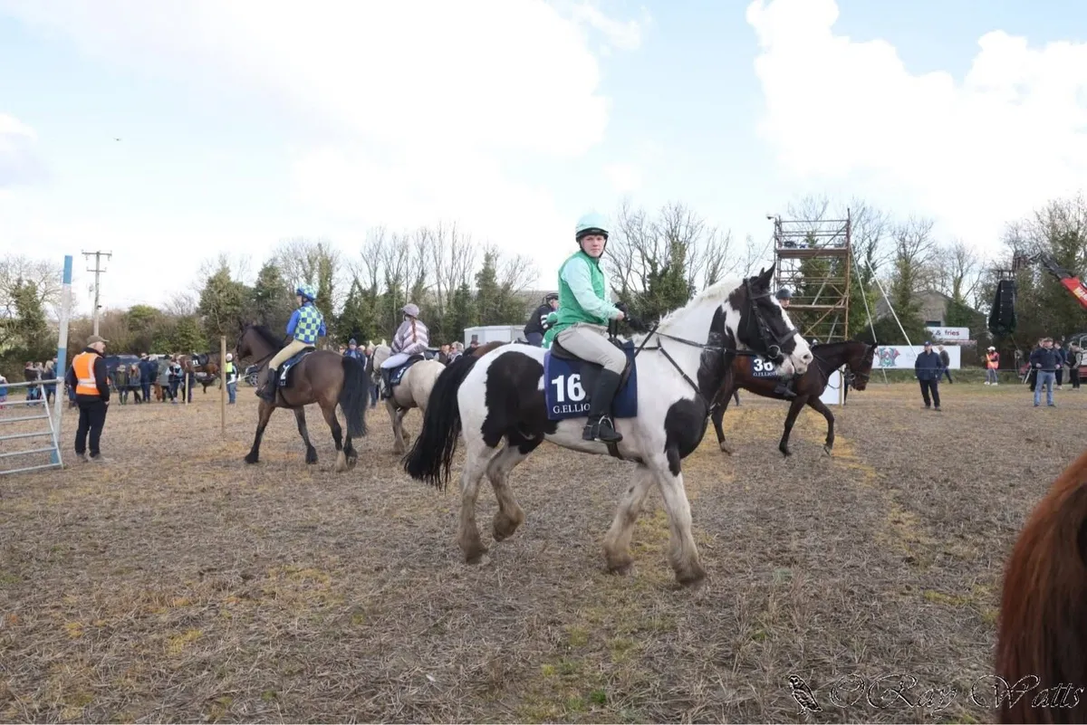 16.2 Hunter - Image 4