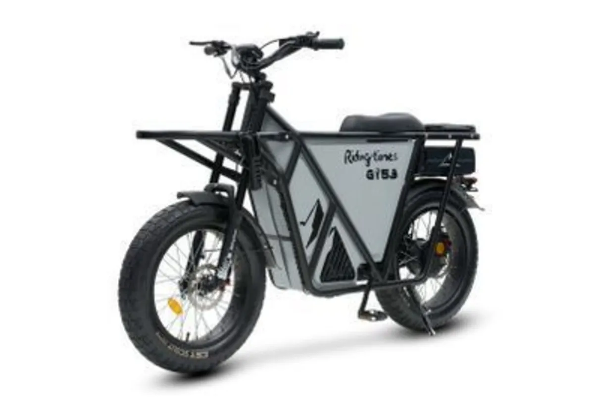 RIDINGTIMES GT53 Electric CARGO Bike - Image 1
