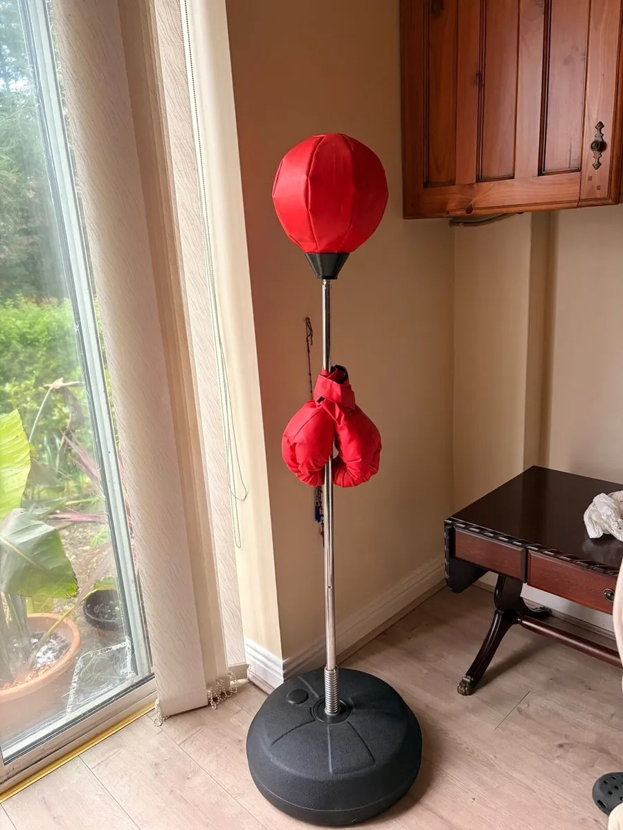 Kids boxing set - Image 1