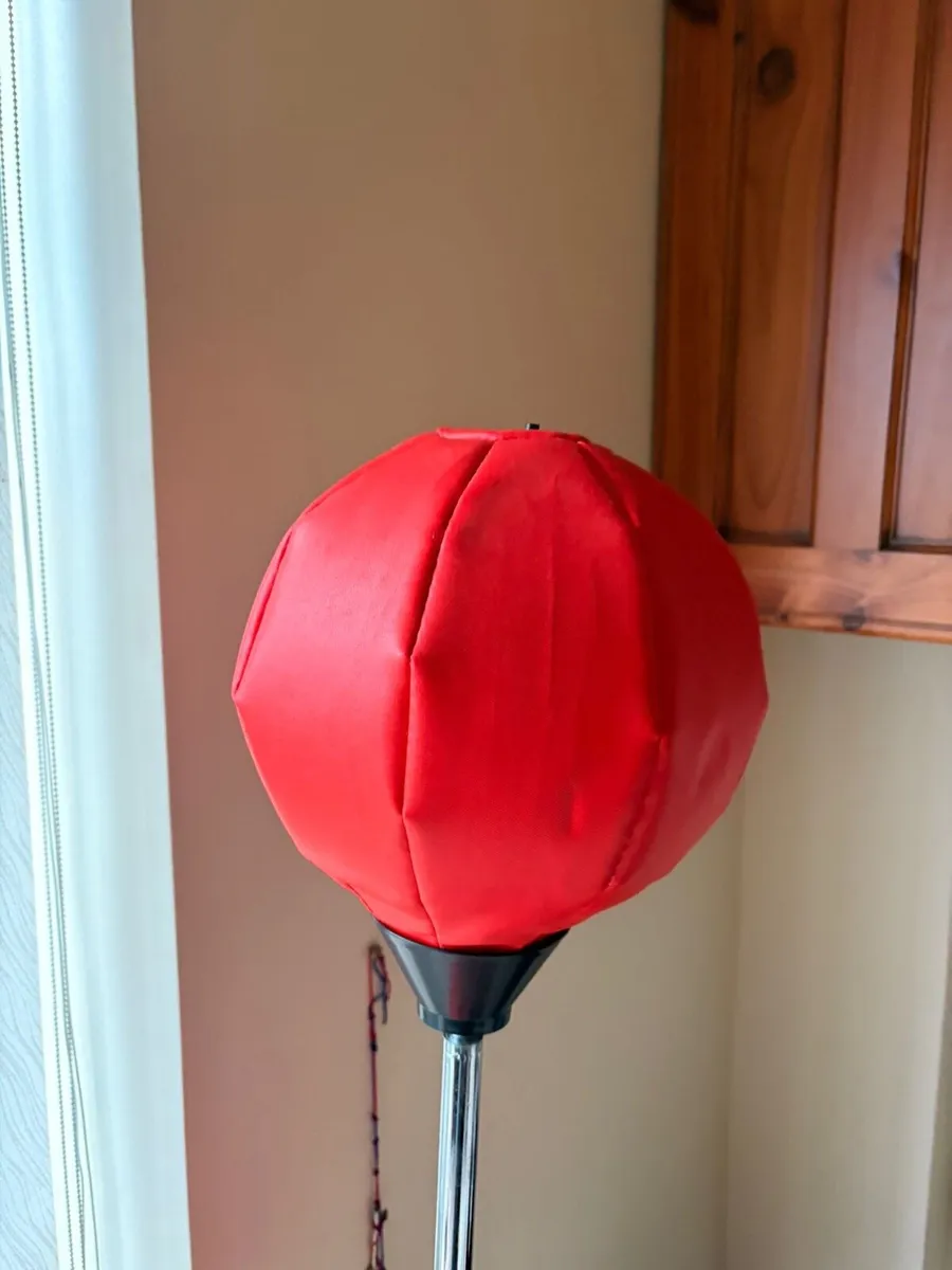 Kids boxing set - Image 2