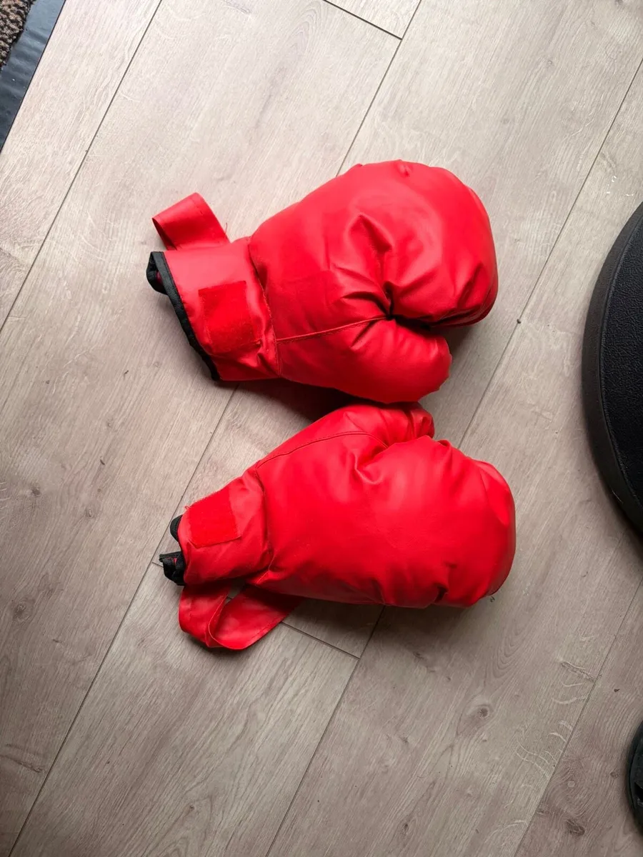 Kids boxing set - Image 3
