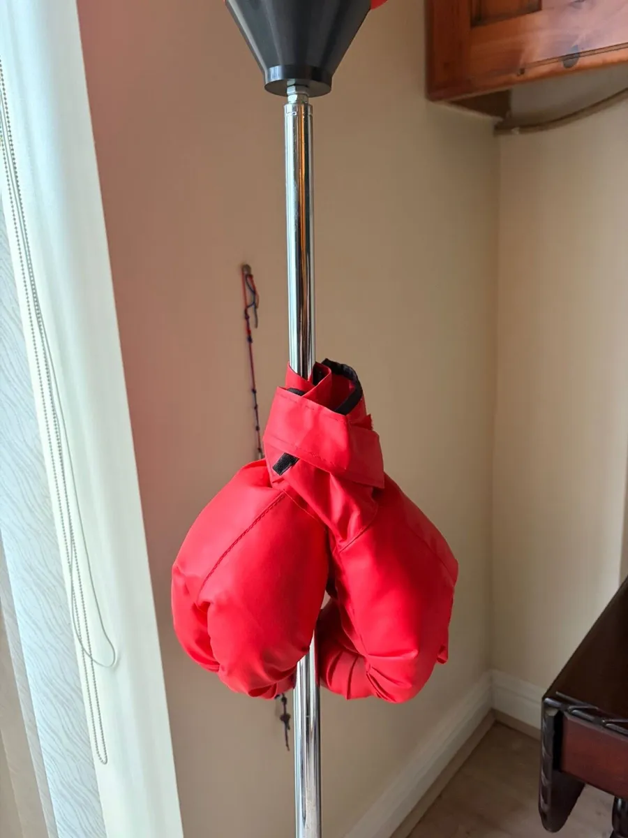 Kids boxing set - Image 4