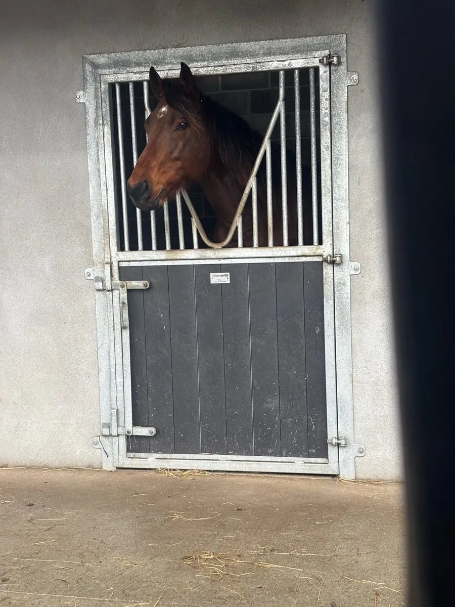 ⭐️Sal⭐️ - Image 4