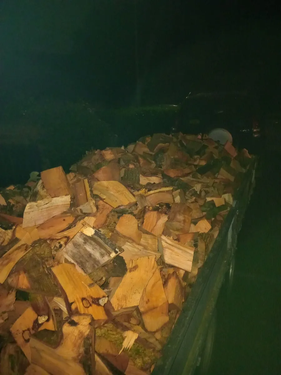 Firewood - Image 1