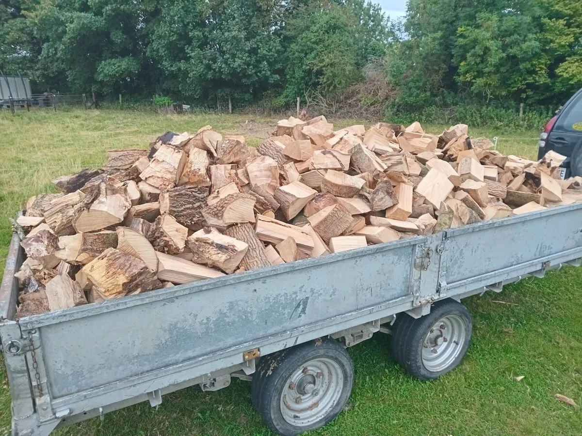 Firewood - Image 2