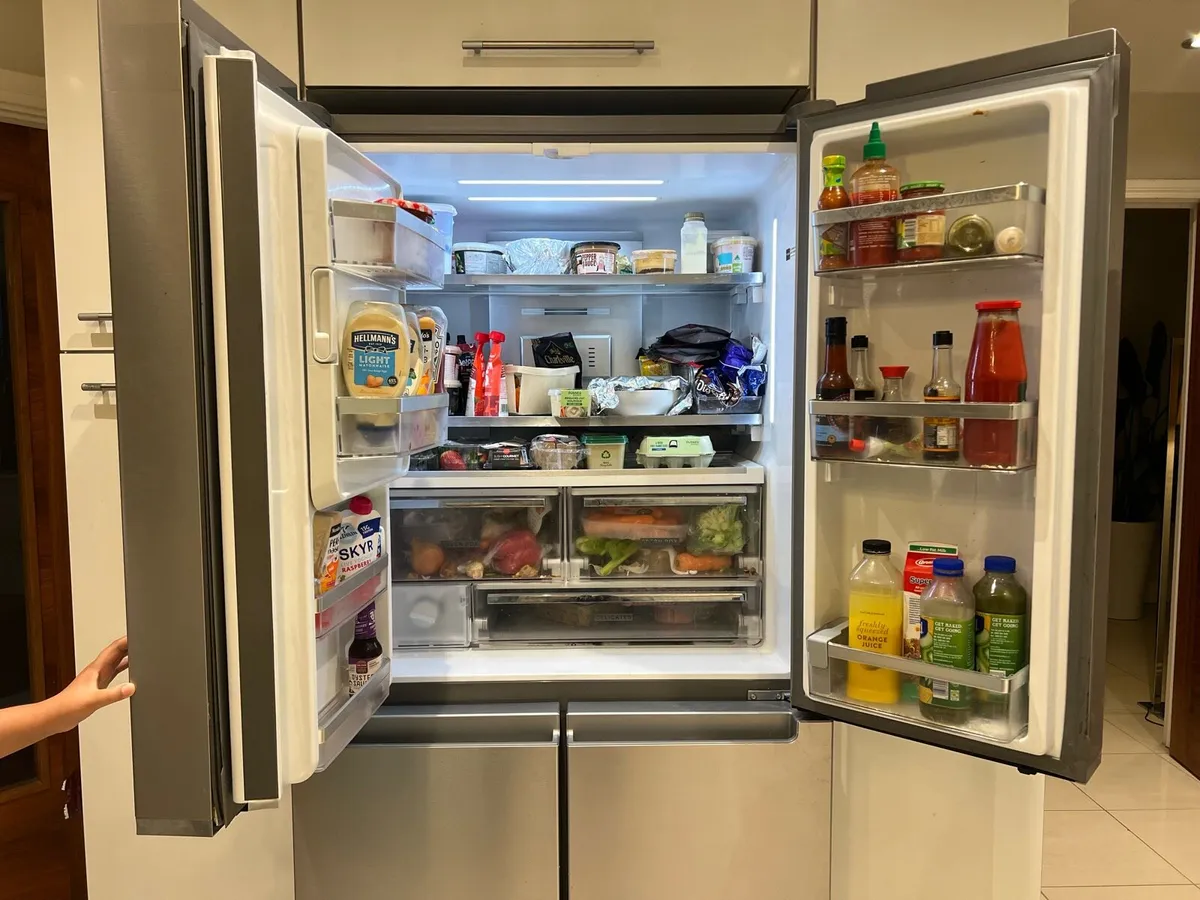 American Fridge - Image 2