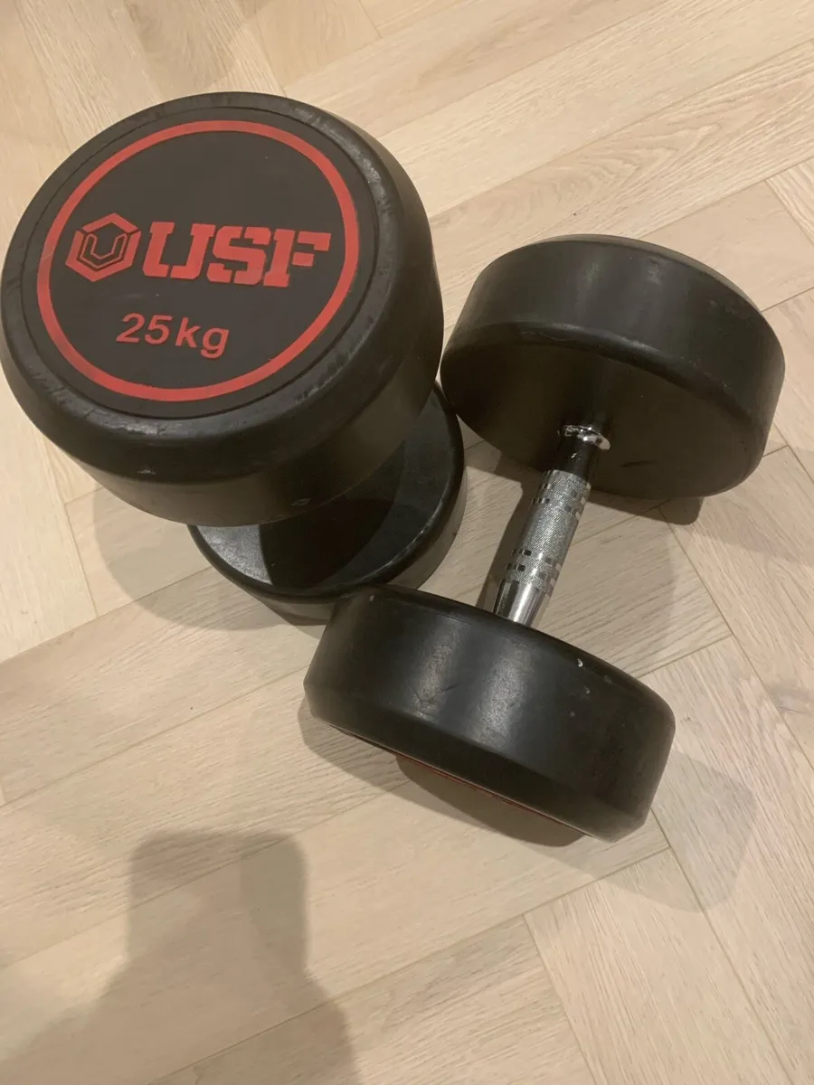 25kg Dumbbell Pair - Image 1