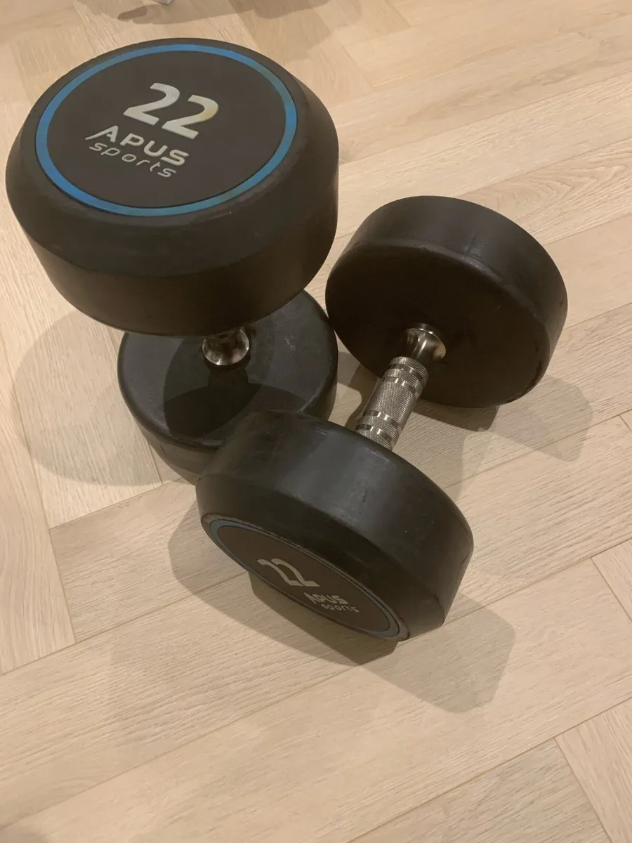 22Kg Dumbbell Pair - Image 1