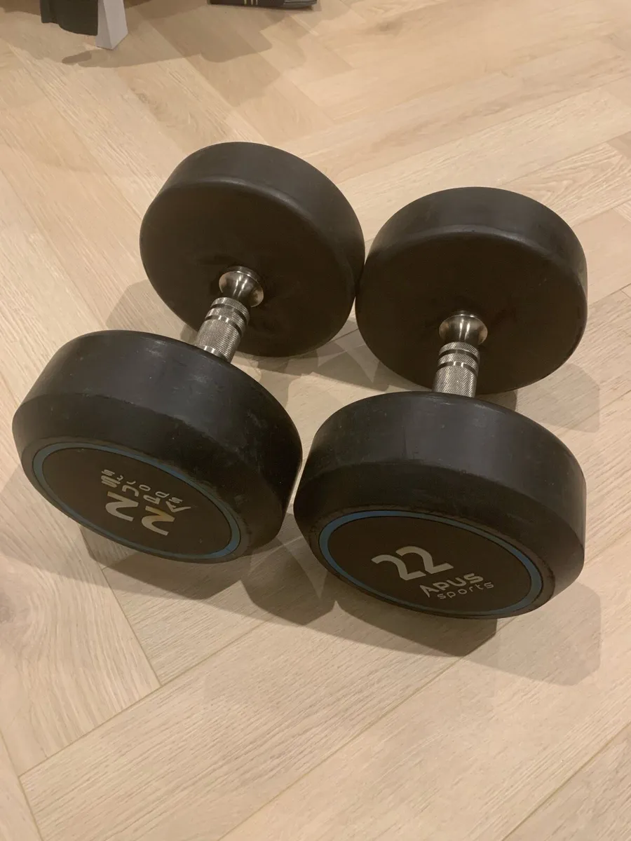 22Kg Dumbbell Pair - Image 2
