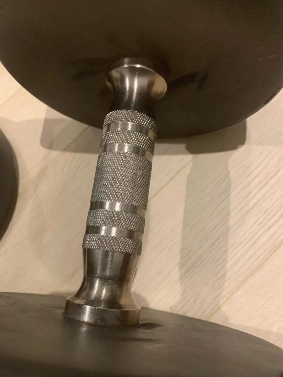22Kg Dumbbell Pair - Image 3