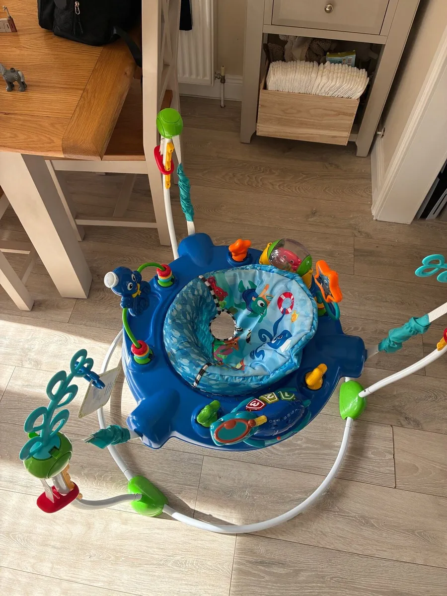 Baby Einstein Jumperoo great condition - Image 1