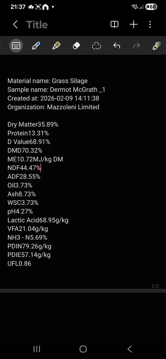 Pit silage and pit maize - Image 1