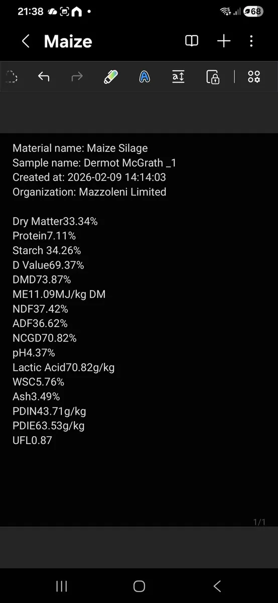 Pit silage and pit maize - Image 2