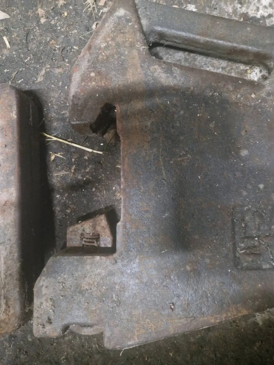 Massey Ferguson 50mm 27kg weights - Image 2