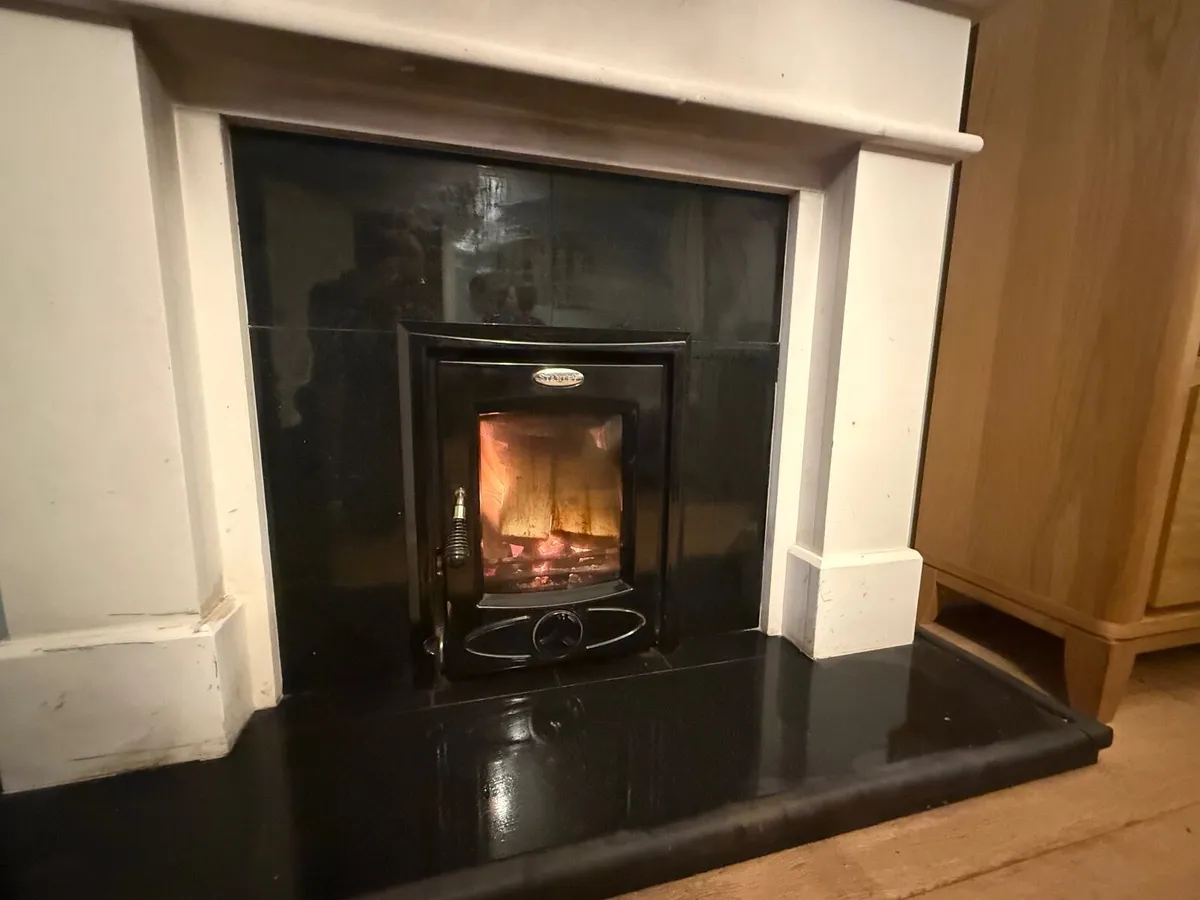 Stanley Cara insert stove  6.5kw -  Delivery avail - Image 3