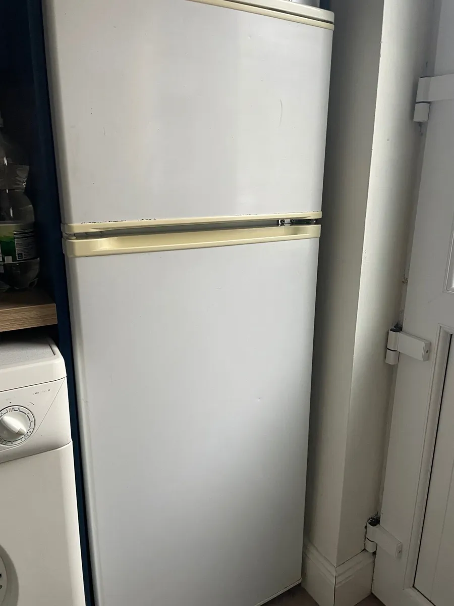 Fridge freezer - Image 1