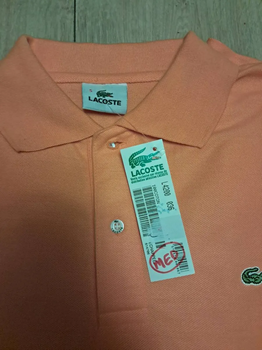 Brand new Lacoste Polo shirt - Image 2