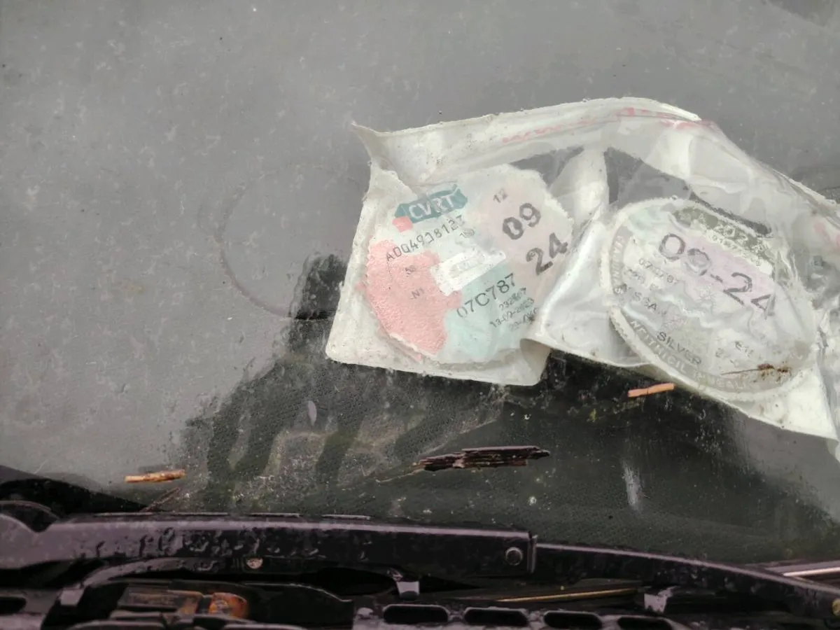 Nissan primastar - Image 3