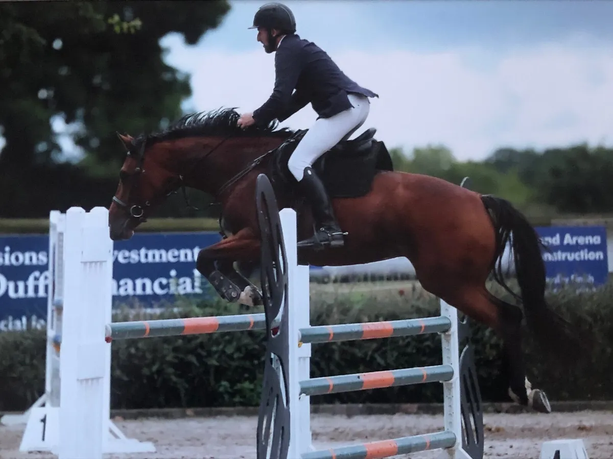 Van Gogh Mare - Image 1