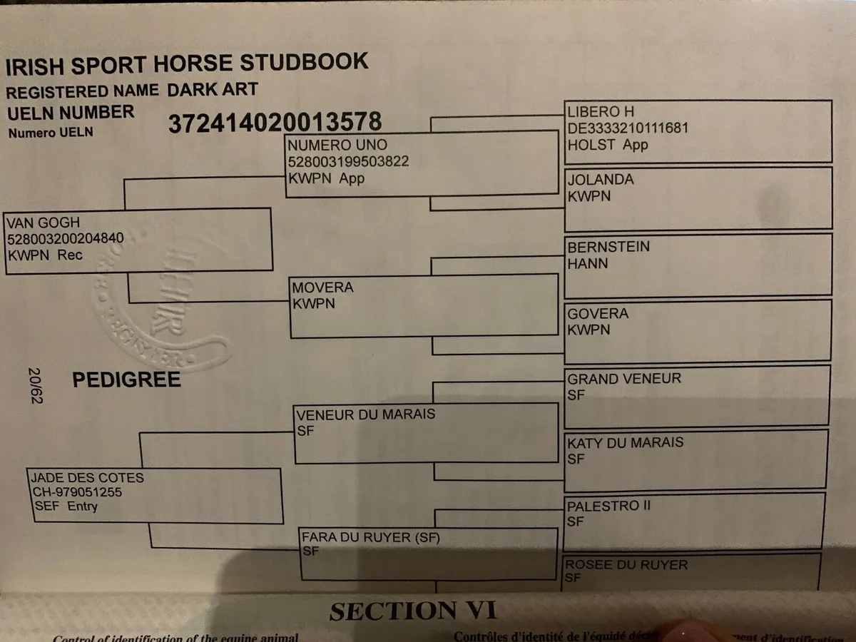 Van Gogh Mare - Image 2