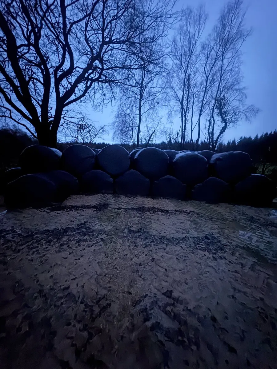 Silage - Image 2