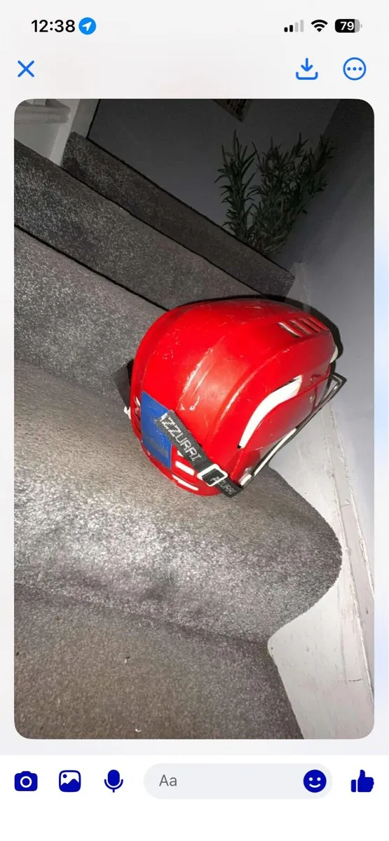 Oldstyle hurling helmet - Image 3